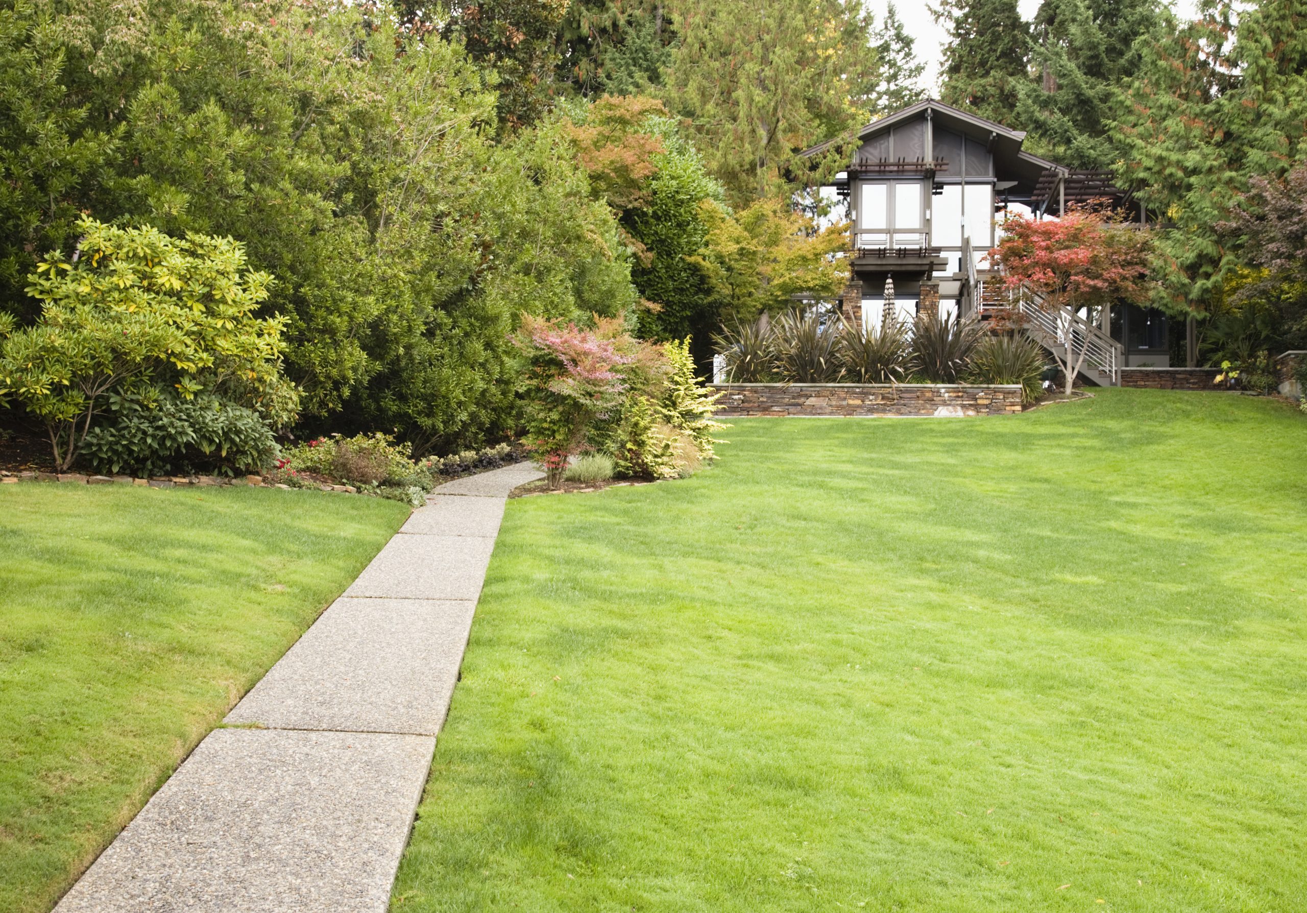 Landscaping & Patios